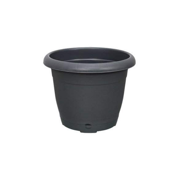 2 NO BAHAR SAKSI 2,5 lt