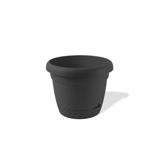 3 No İnci Saksı 3 No İnci Saksı