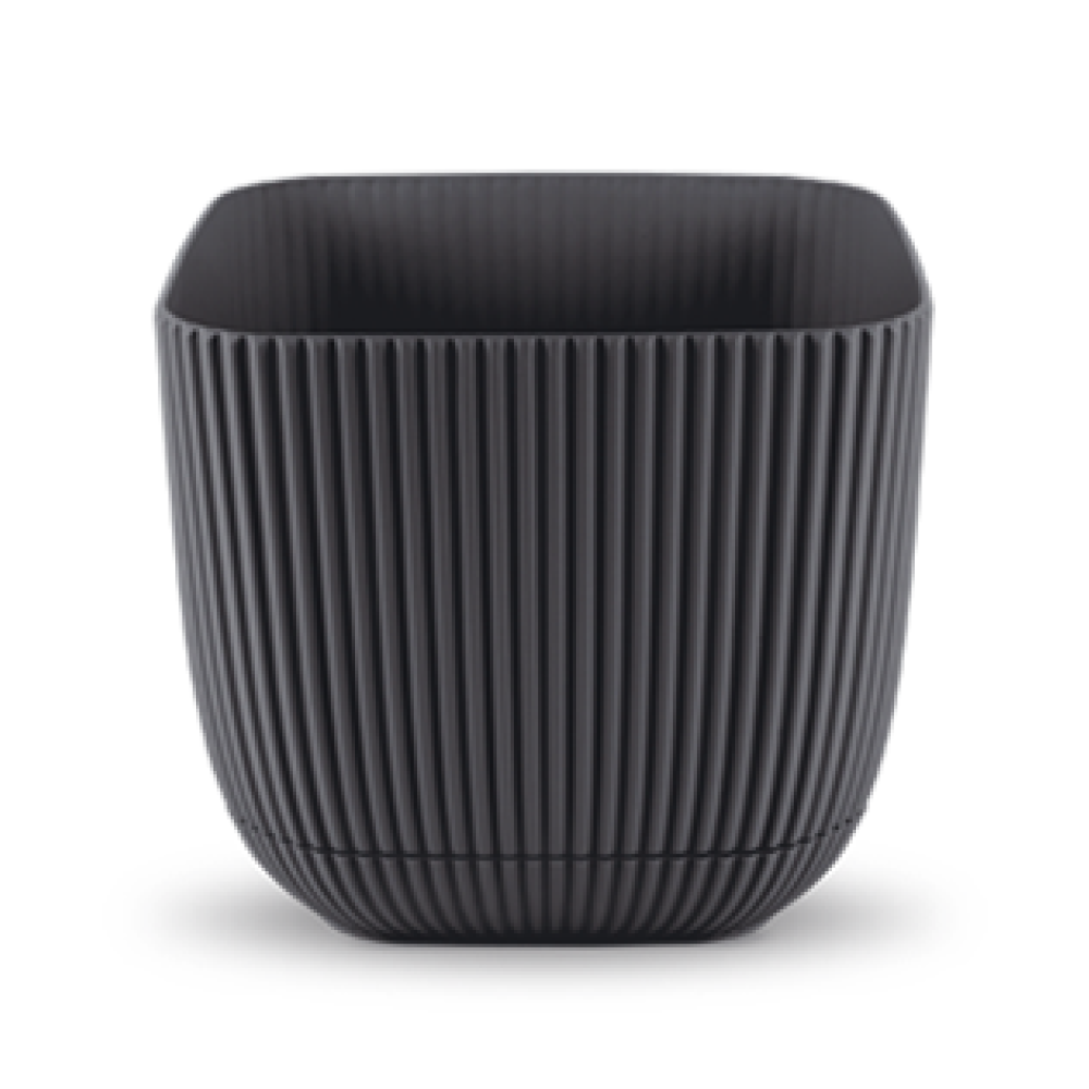 3 No Mercan Kare Saksı