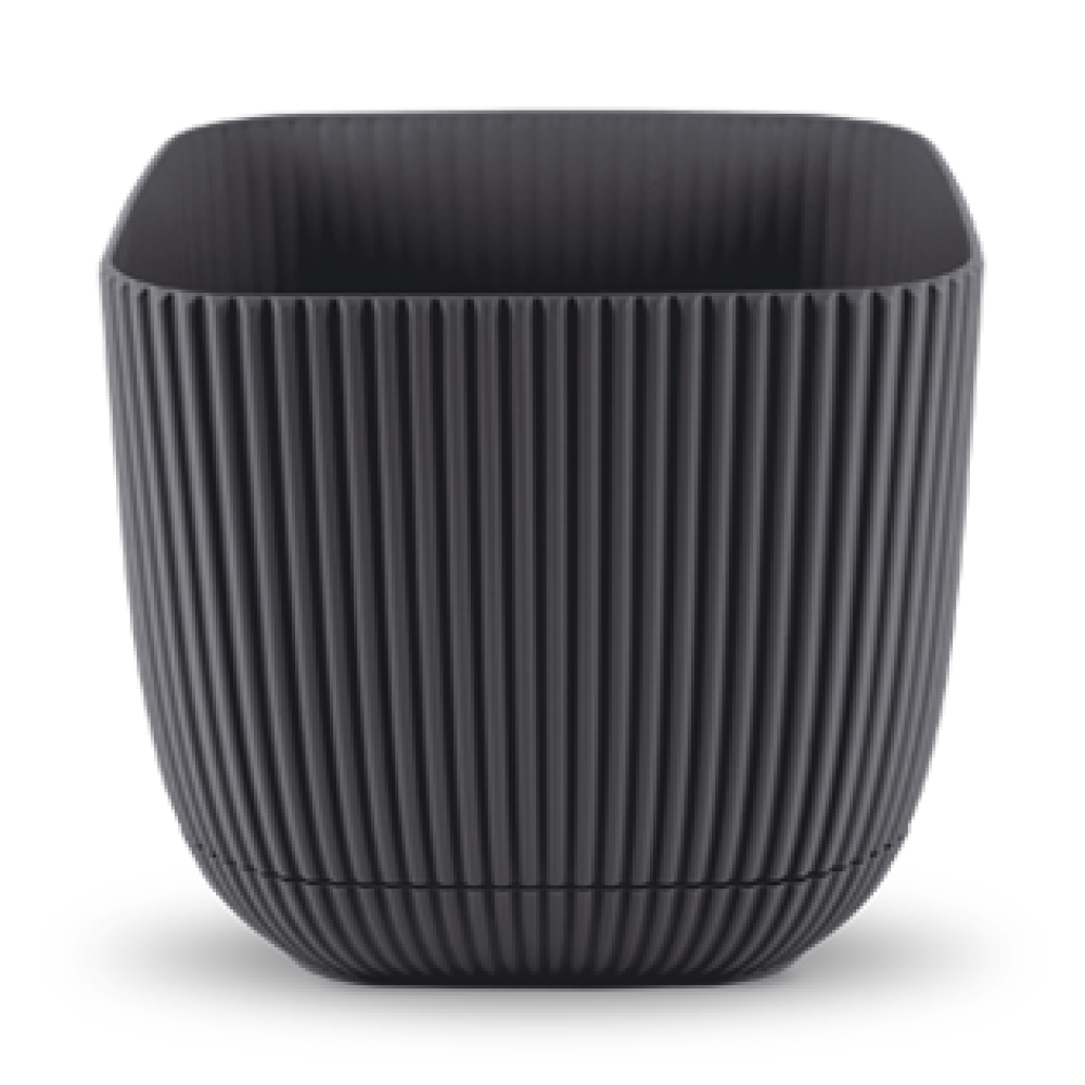 4 No Mercan Kare Saksı