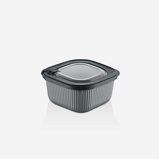 1800 ml Micro Line Saklama Kabı - Türkiyenin Toptan Tedarikçisi 1800 ml Micro Line Saklama Kabı - Toptan fiyatına