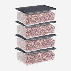 4'Lü 4300 Ml Smart Container Set 4'Lü 4300 Ml Smart Container Set