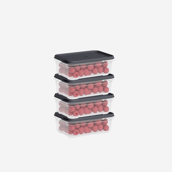 4lü 500 ml Smart Container Set - Türkiyenin Toptan Tedarikçisi 4lü 500 ml Smart Container Set - Toptan fiyatına